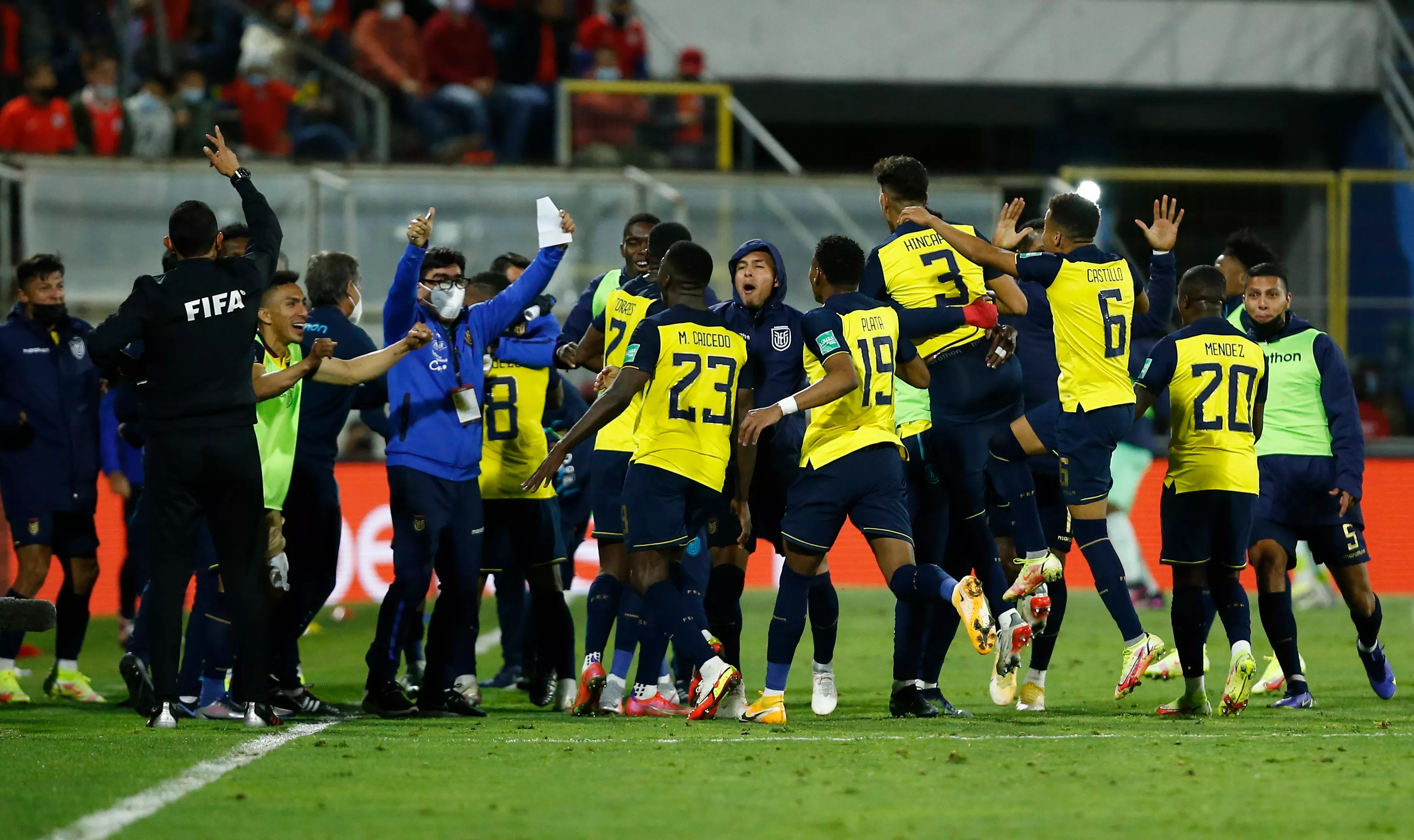 카타르 월드컵 에콰도르