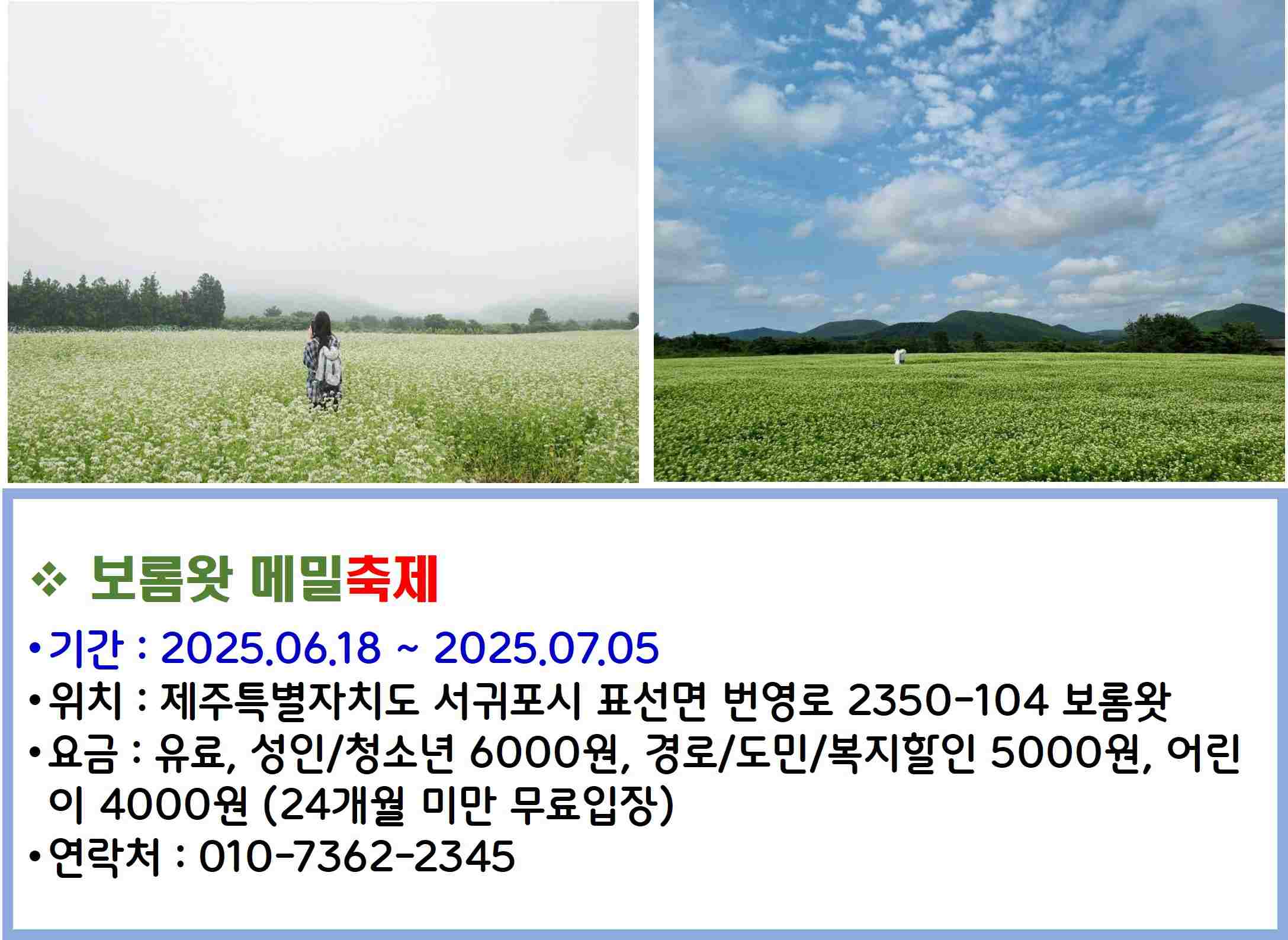 보롬왓 메밀축제