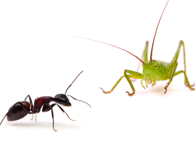 개미를 죽이는 꿈 해몽 꿈해석 의미 풀이