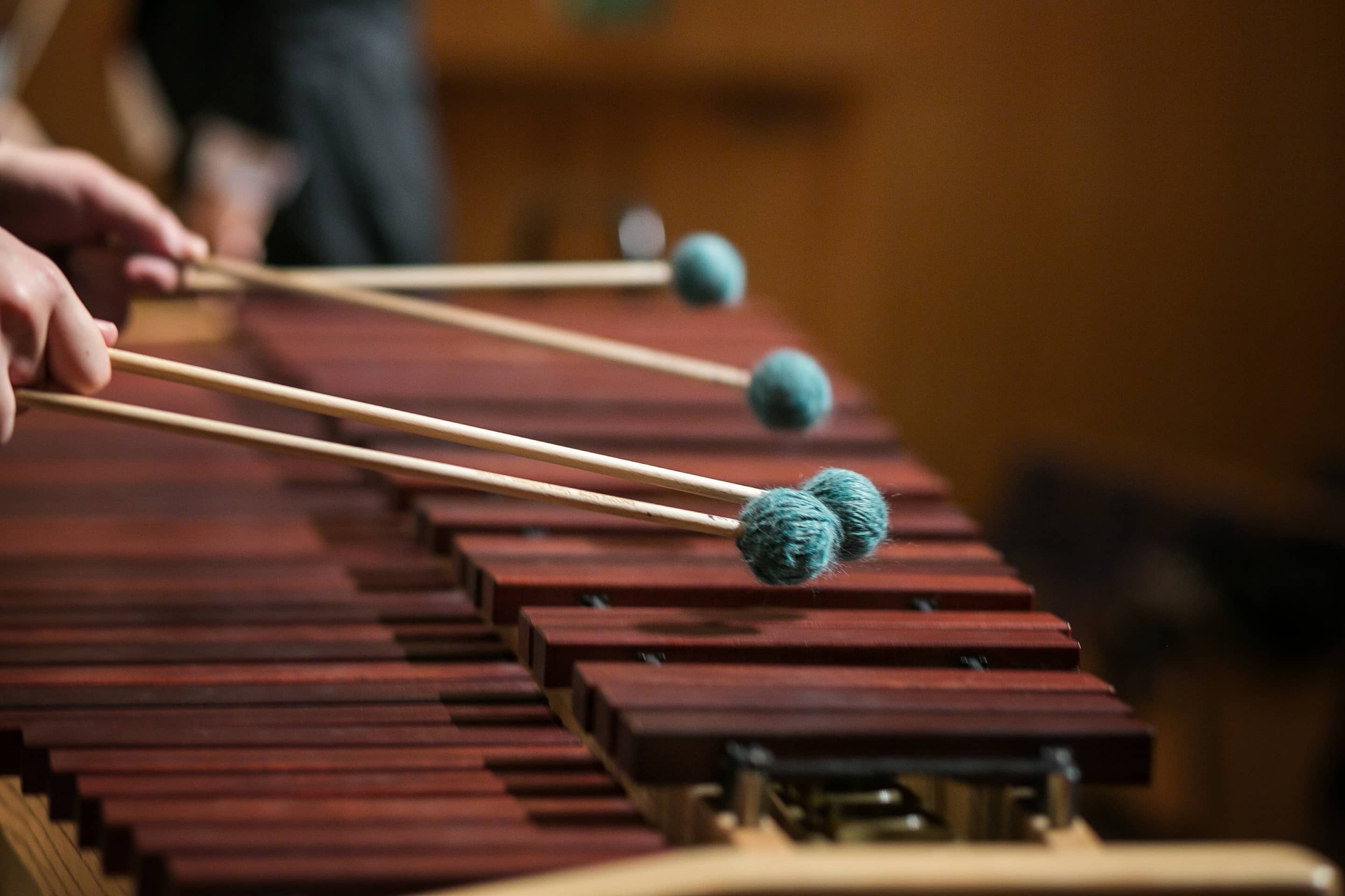 음악학:문화와 사회에 대한 음악의 영향