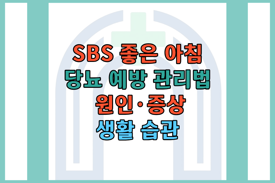 SBS '좋은 아침' 당뇨 예방 관리법 &mdash; 원인&middot;증상&middot;생활 습관 한눈에 정리