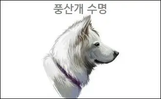 풍산개 수명