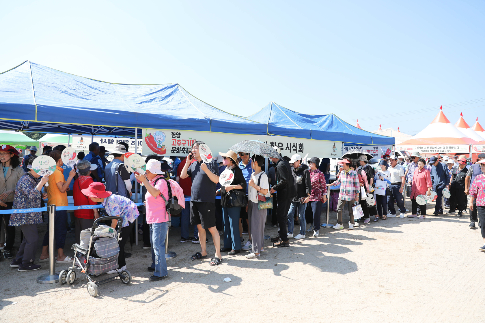 청양고추구기자 문화 축제