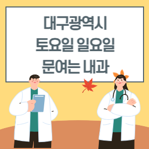 대구광역시 토요일 일요일 내과 진료 병원 리스트