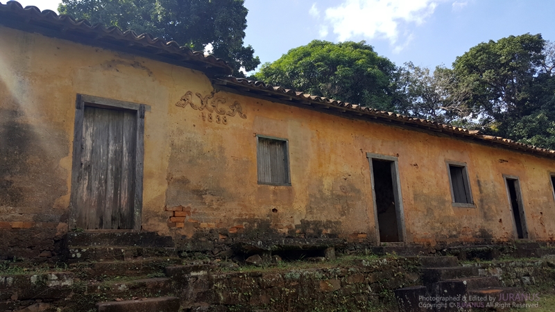 Fazenda_Tozan_26
