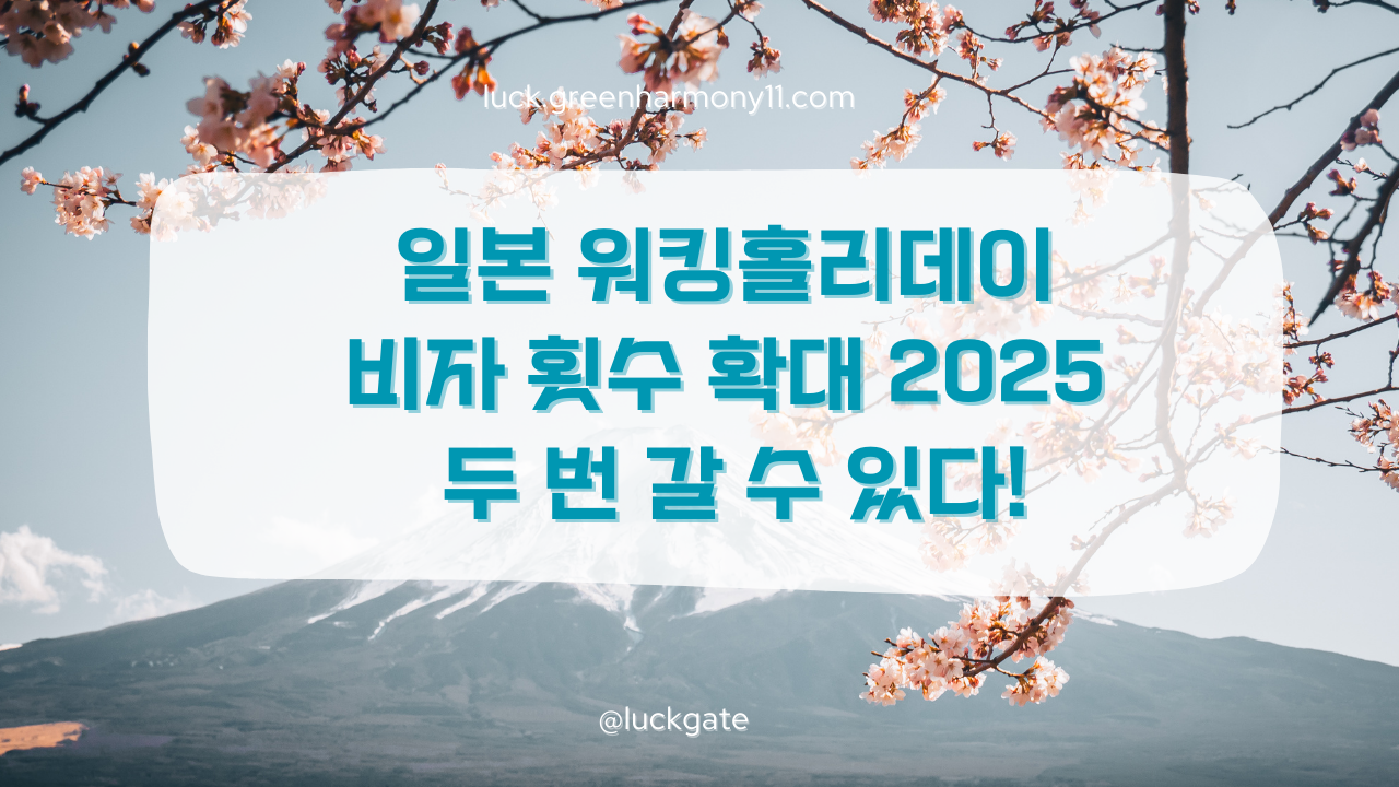 일본 워킹홀리데이 비자 횟수