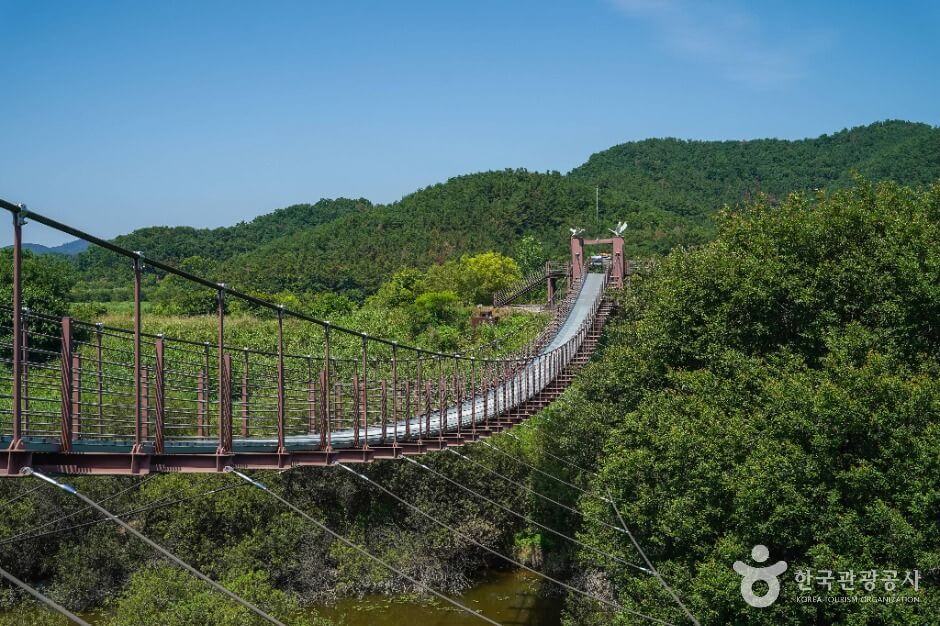 우포 출렁다리 