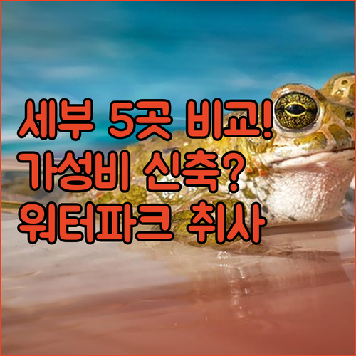 세부 시티 만다웨 숙소 5곳 가성비 ..