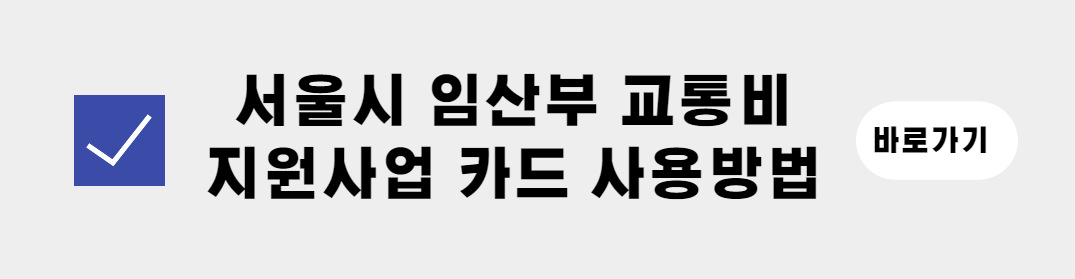 서울시 임산부 교통비 지원사업(5)