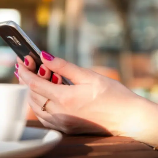 세금 납부 조회