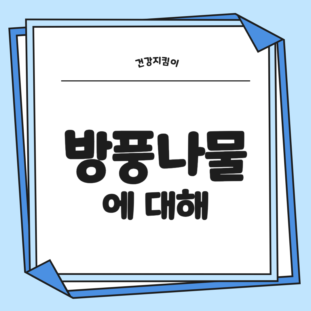 방풍나물 효능 부작용 요리 고르는법 칼로리