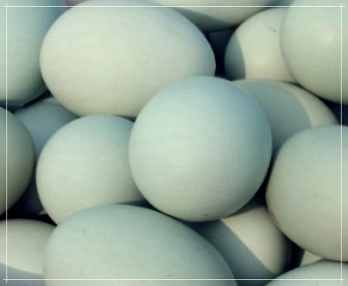 청란의 효능, 먹는 방법, 그리고 가격에 대하여