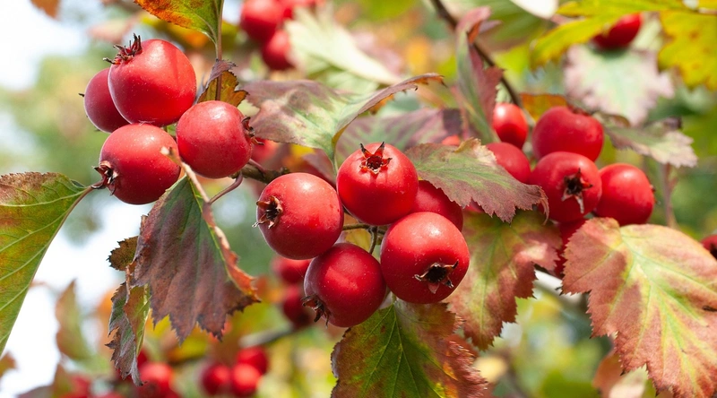 쾌적한 주거 환경의 중요성