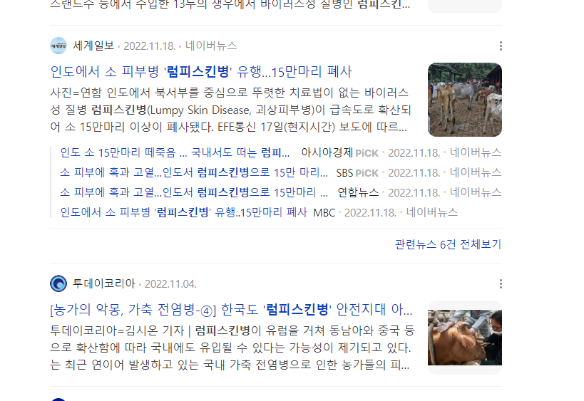 럼피스킨병 관련주