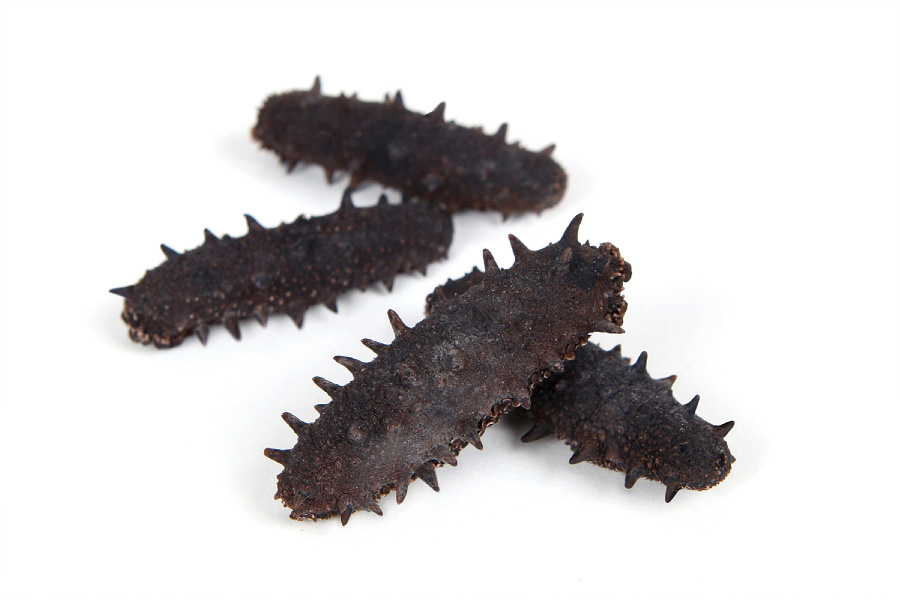 바다에서 채취를 한 해삼을 잘 세척한 후 바싹 말려 둔 것을 하얀 바닥 위에 4개를 놓아두고 찍은 사진