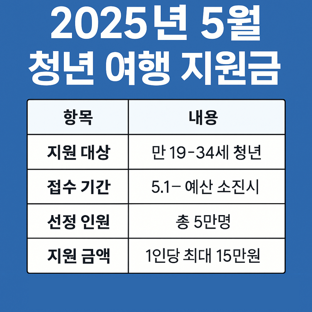 2025 청년여행지원금 항목 이미지