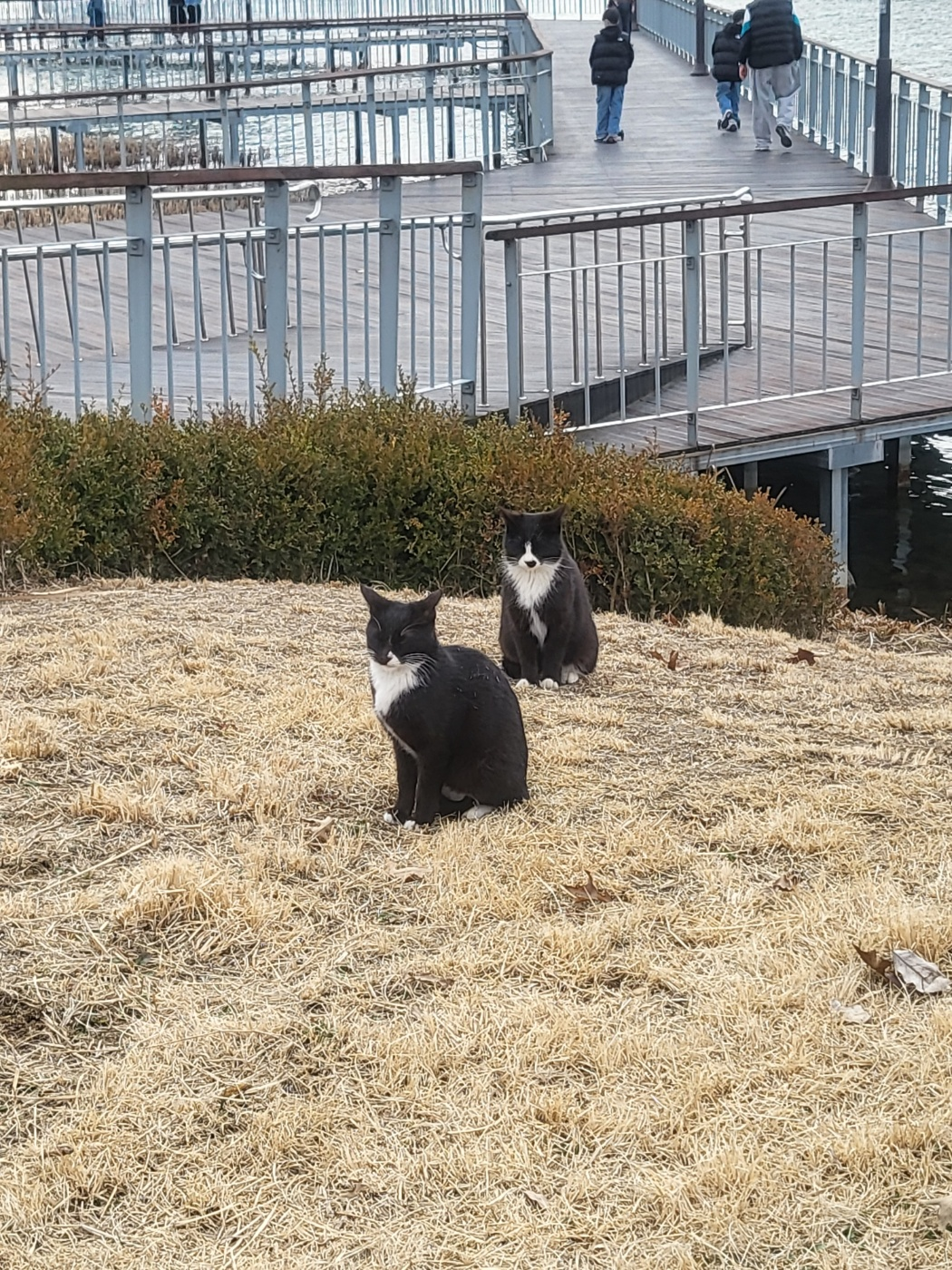 세종 아이와 가볼만한곳 추천: 가족 4인용 자전거부터 송담만리 카페 산책길 