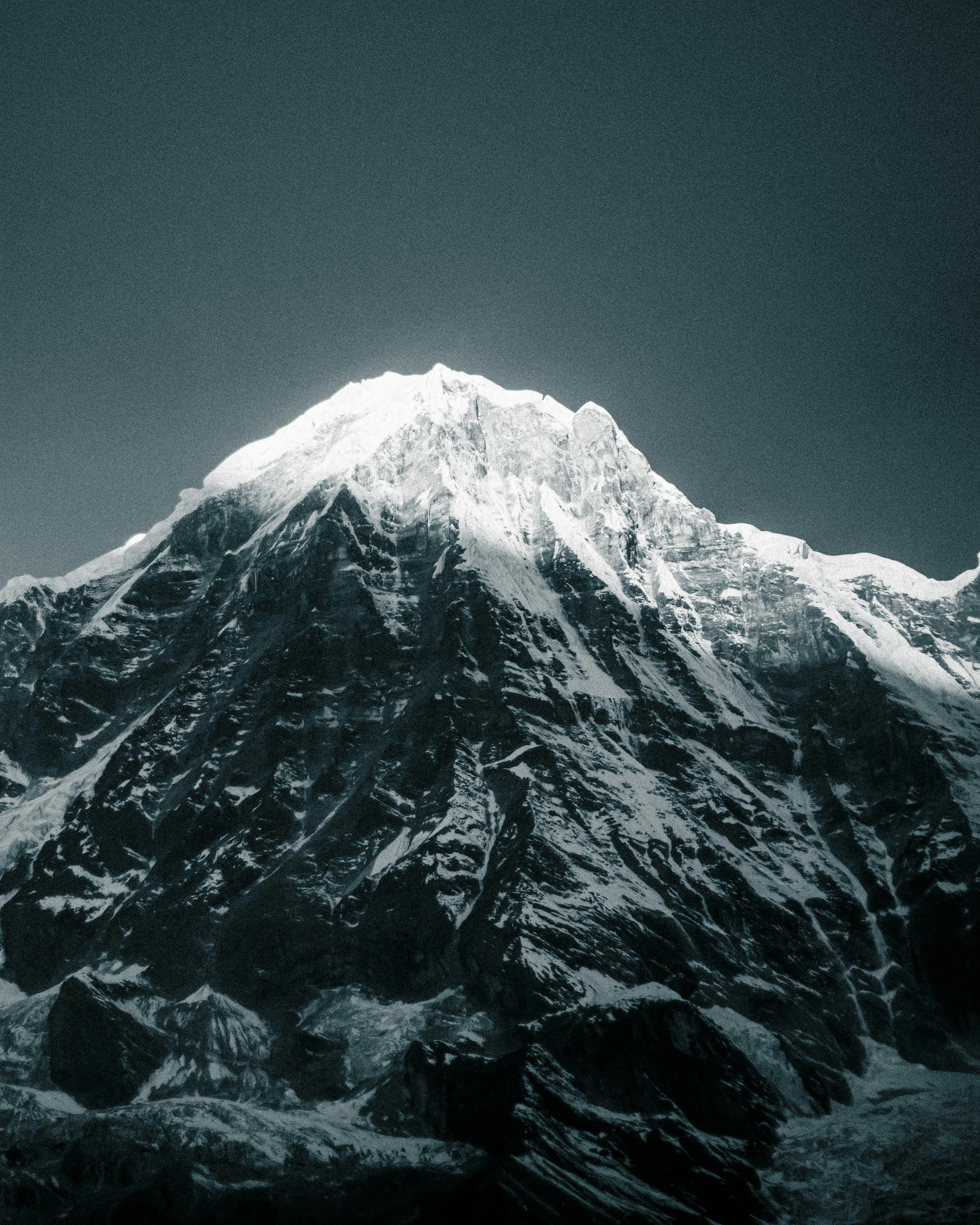 태어난김에세계여행