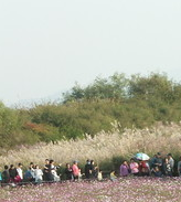 전국 수목원 BEST 5 – 자연의 품으로 떠나는 진짜 힐링 여행