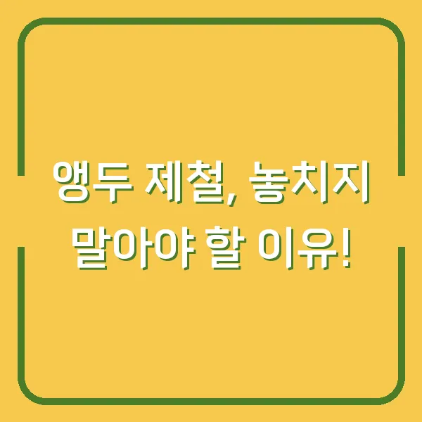 앵두 제철, 놓치지 말아야 할 이유!