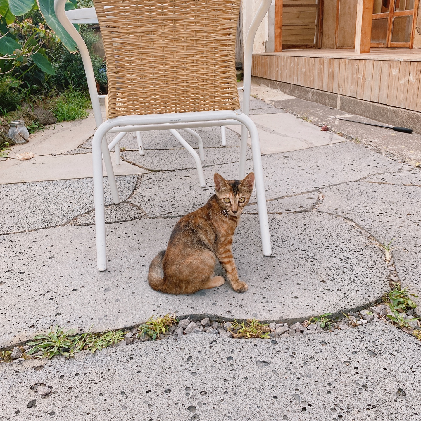 제주 동문시장 주택 구옥개조 북카페 무화과한입