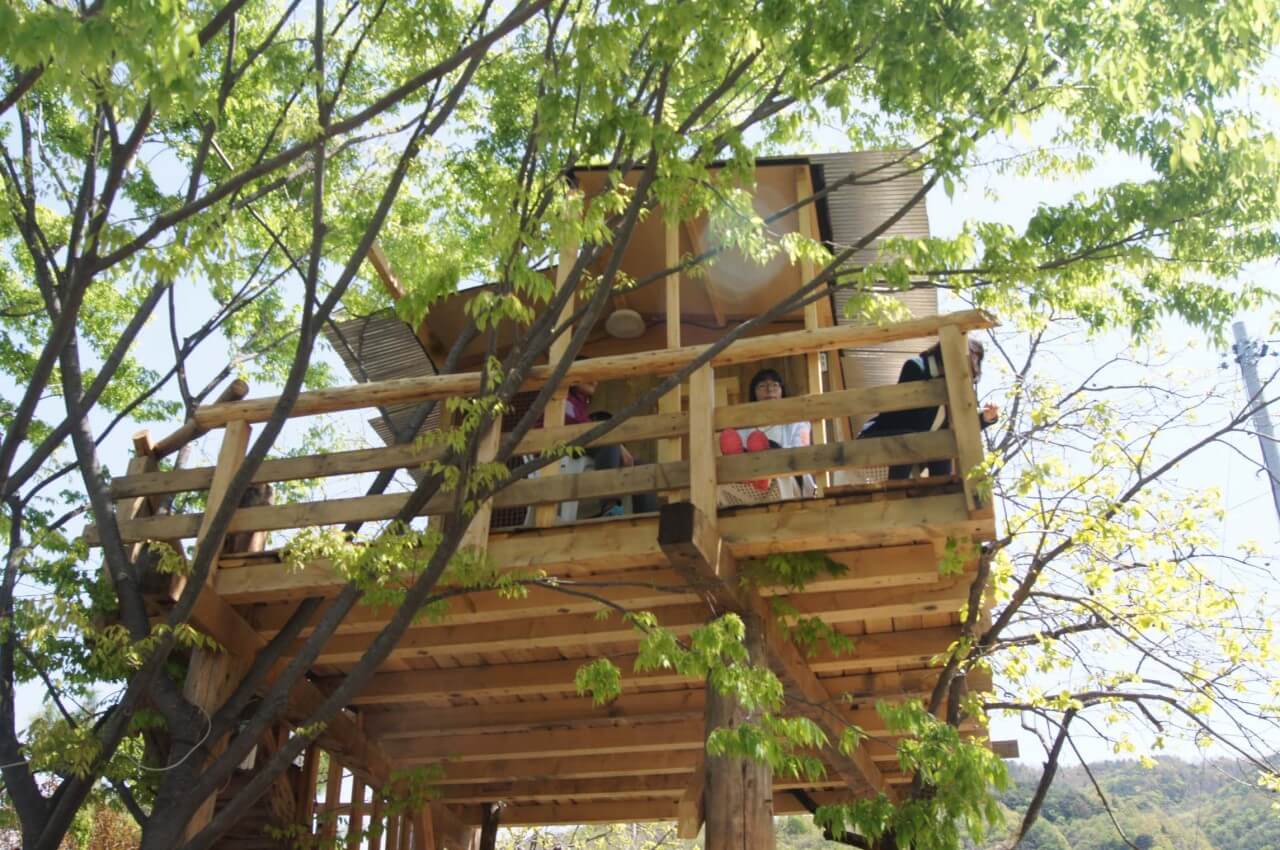 6시 내고향 전남 광양 닭구이 맛집 옥룡계곡의 캐빈하우스와 광양 복수박, 와인동굴, 농부네 텃밭 도서관 정보