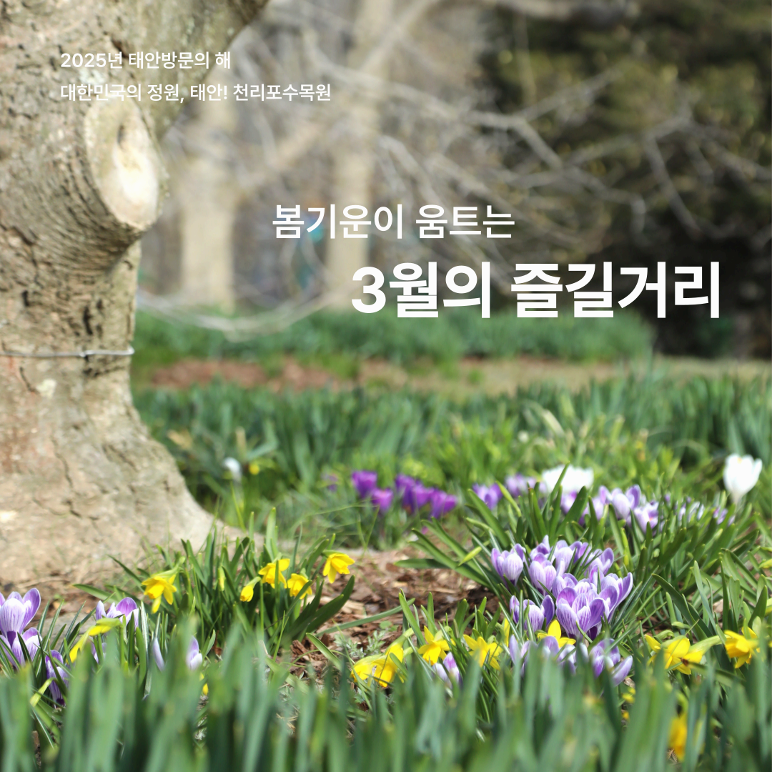 천리포수목원 목련축제｜비공개 정원 개방, 숙박, 온라인예약 팁까지!