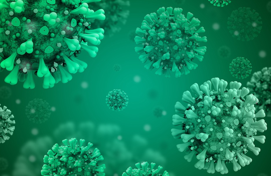 마버그 바이러스