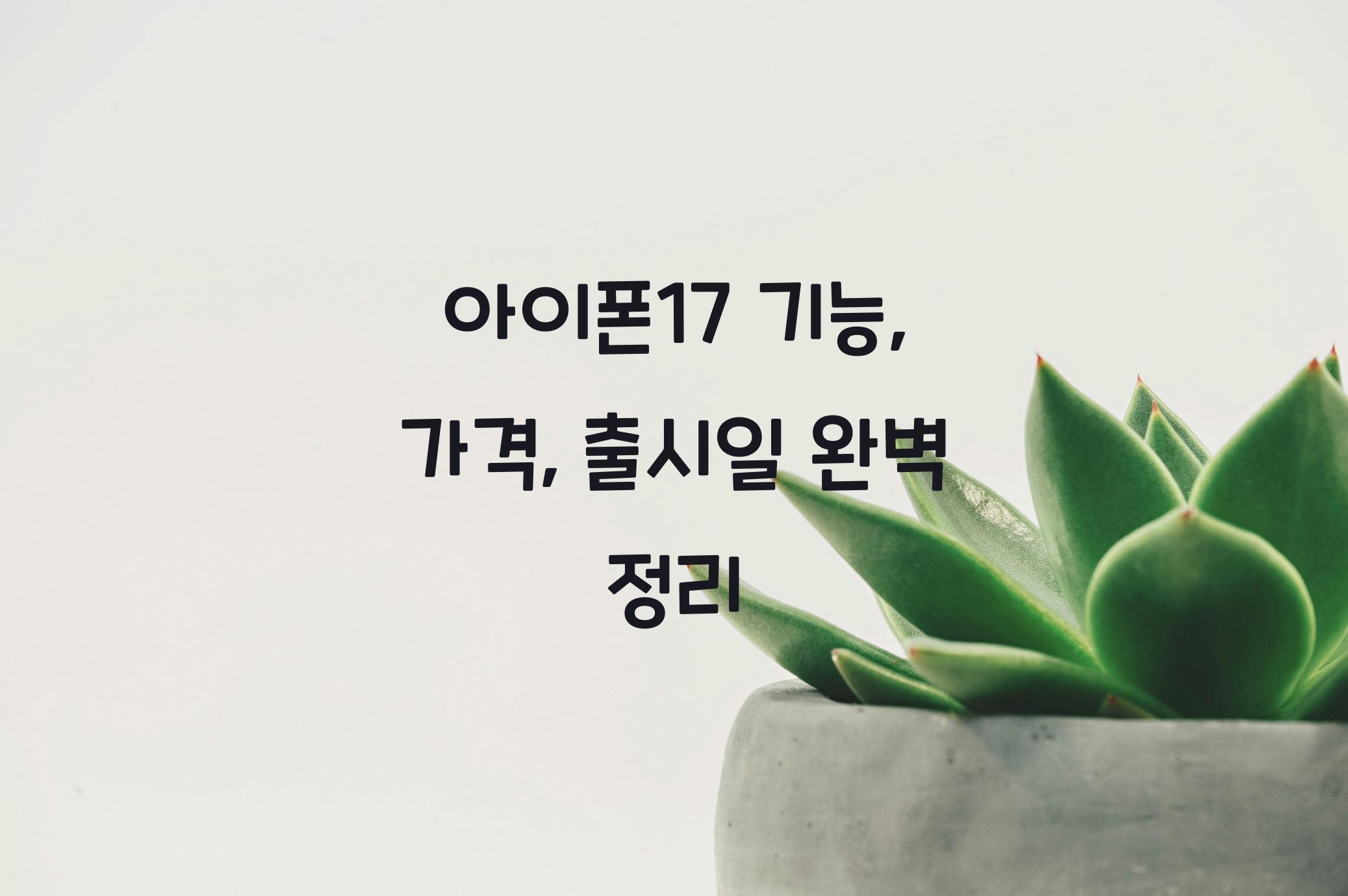 아이폰17