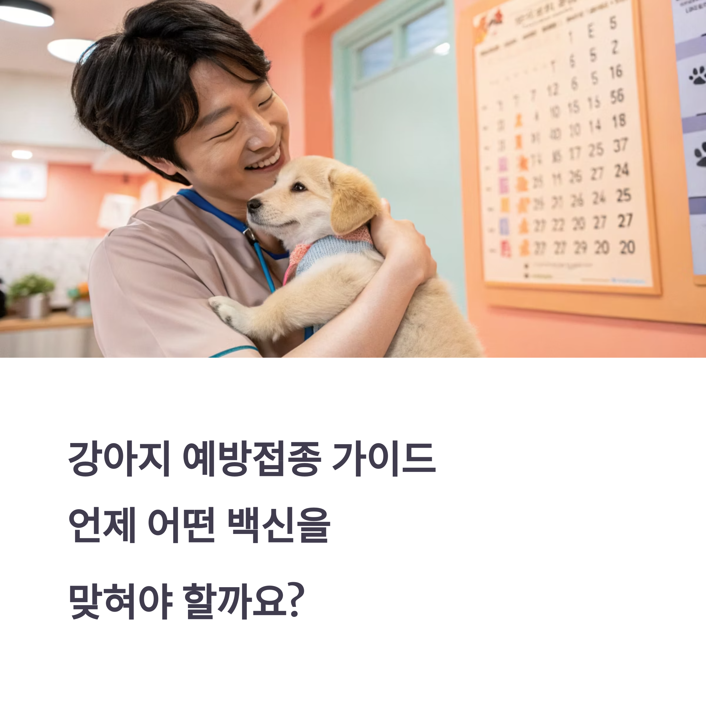 강아지 예방접종 순서와 시기별 가이드