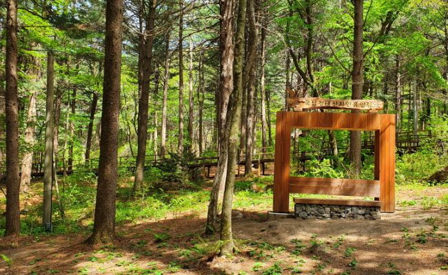 국립청태산자연휴양림