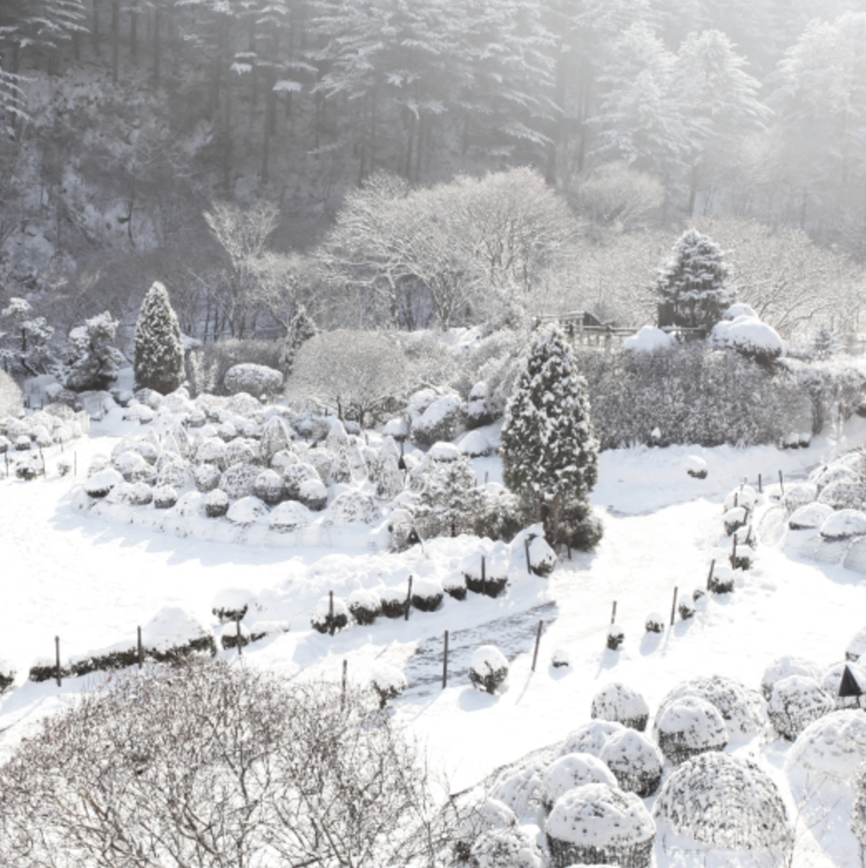 아침고요수목원의 사계절