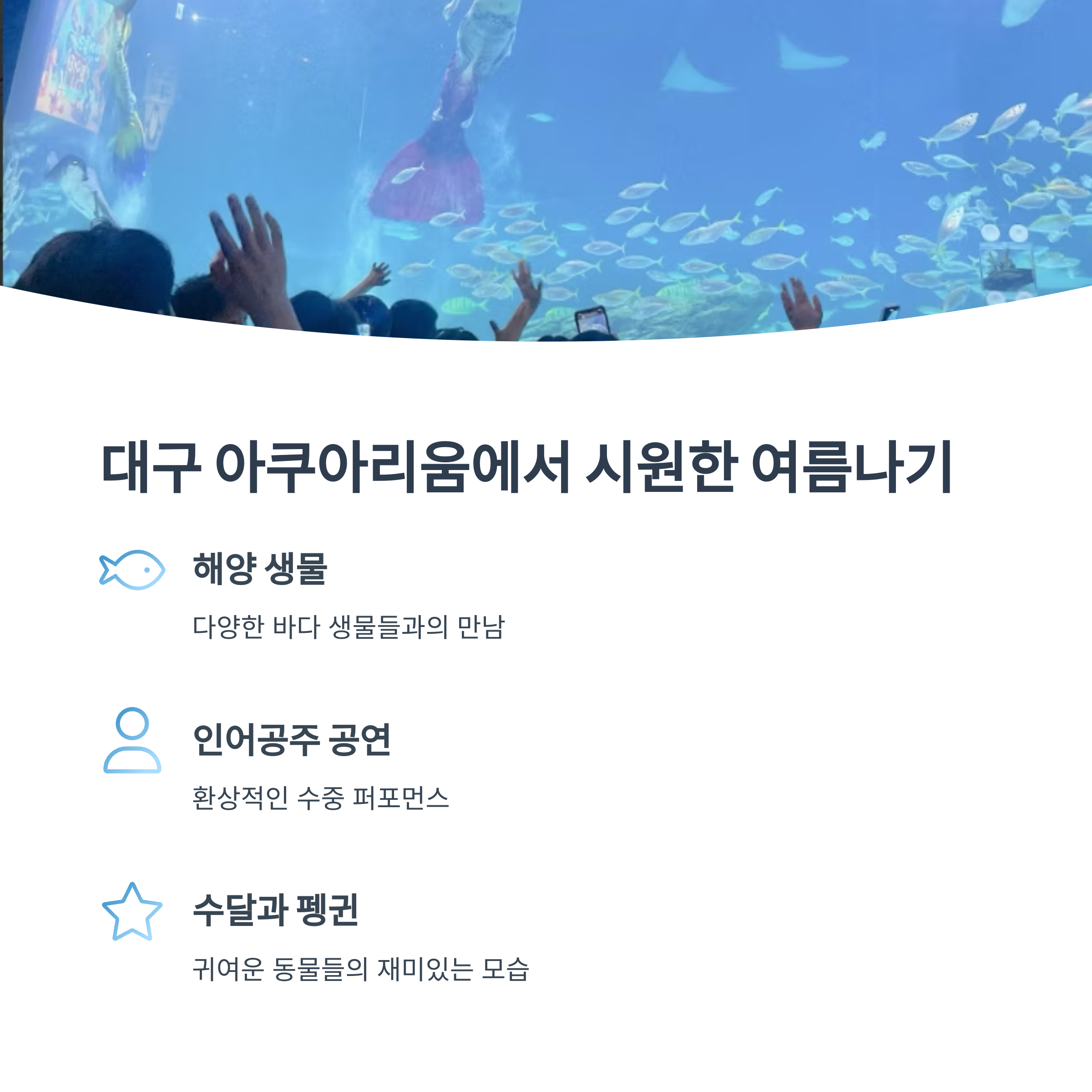 대구 아쿠아리움