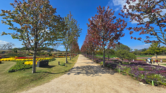 2025 순천만 국가정원 순천여행 맛집 현지인 추천 맛집 순천만 숙박