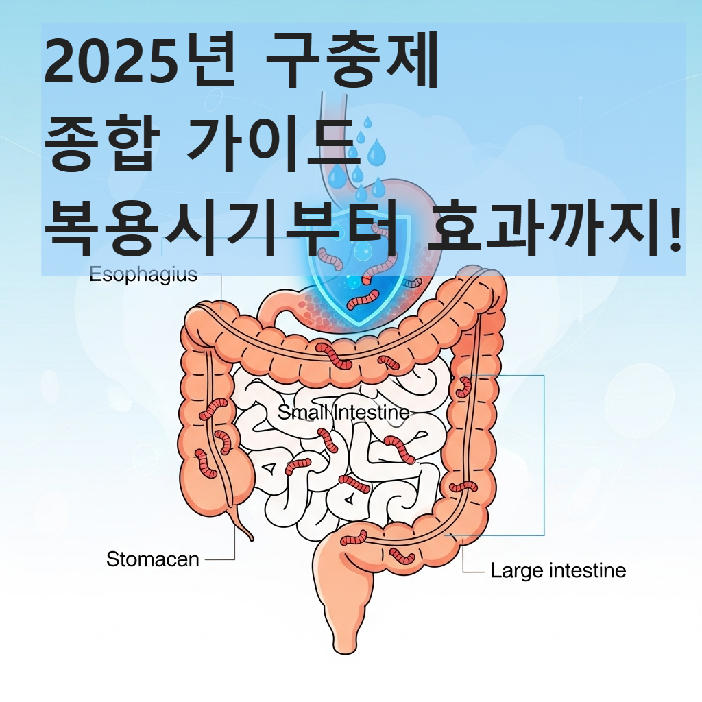 구충제 복용의 중요성과 기생충 예방을 시각적으로 나타내는 현대적인 인포그래픽 이미지