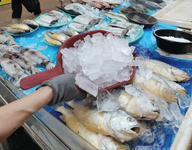 생선의 신선도