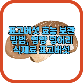 표고버섯 효능 보관방법, 영양 덩어리 식재료 표고버섯