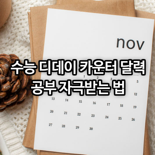 수능 디데이 카운터 달력으로 공부 자극받는 법