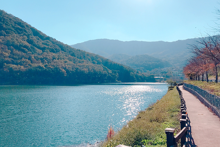 김해 평지못둘레길