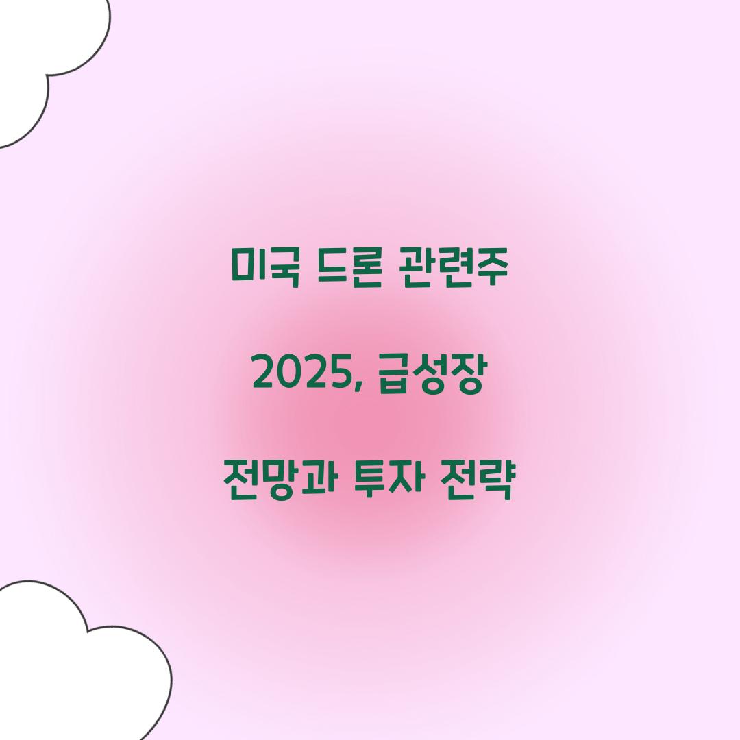 미국 드론 관련주 2025
