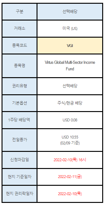 미국주식 선택배당 안내 VGI