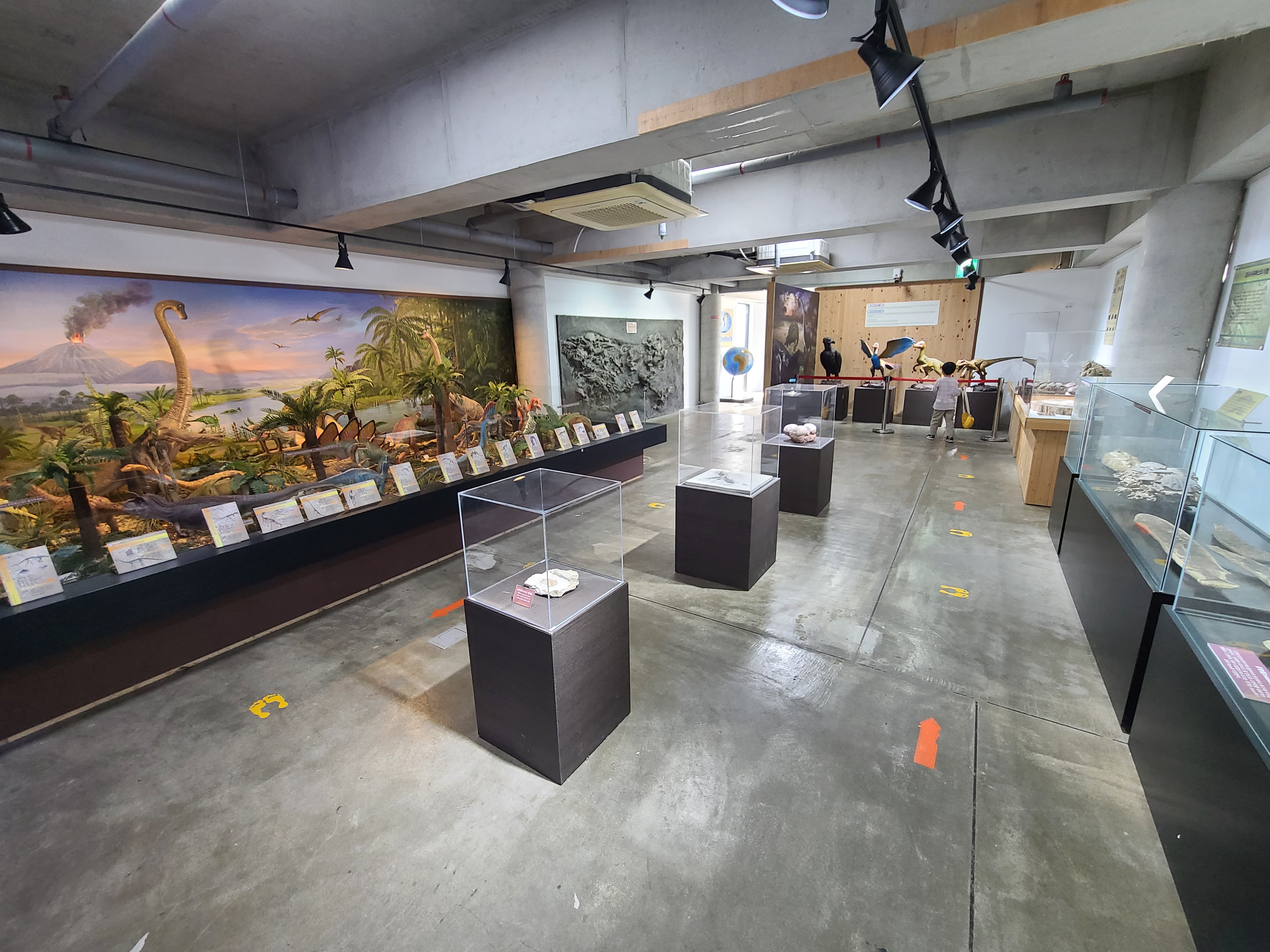파주 공룡 박물관 2층 전시실