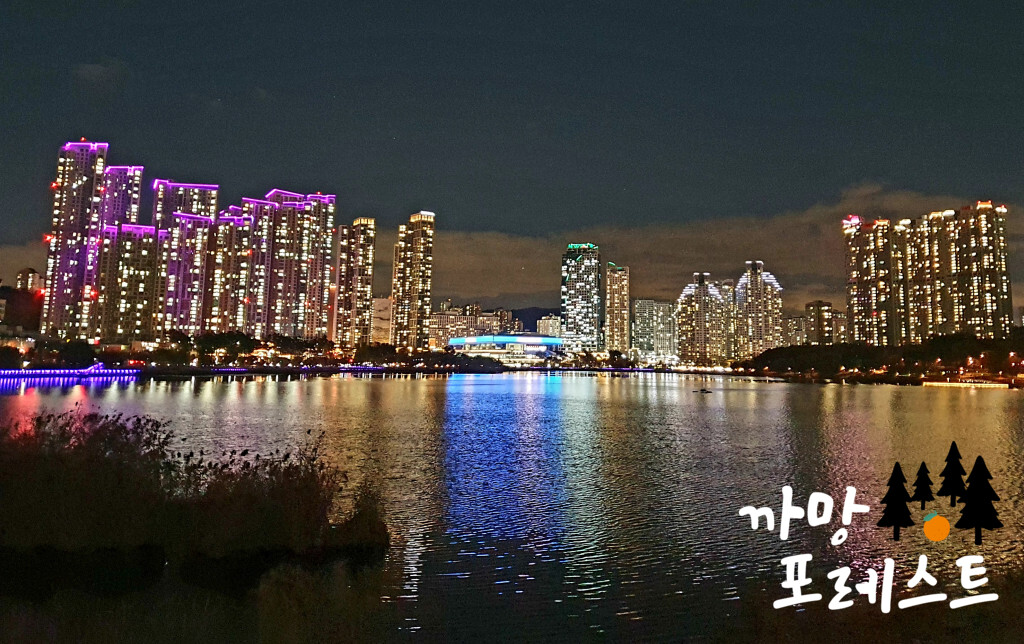 광교호수공원 야경