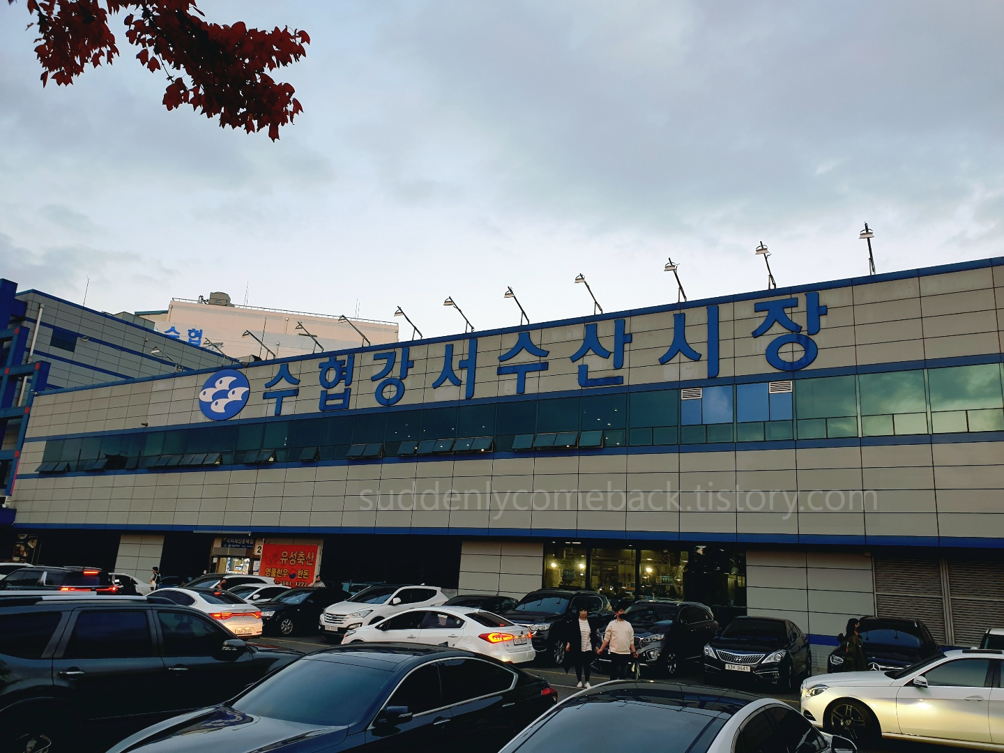 수협강서수산시장