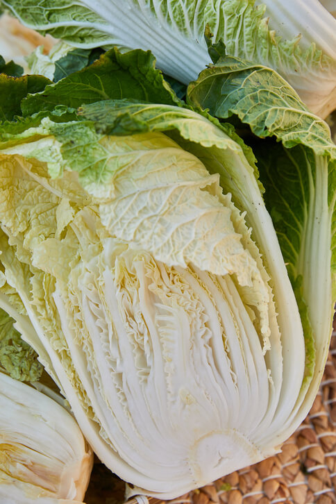 배추를 반으로 갈라 놓은 사진