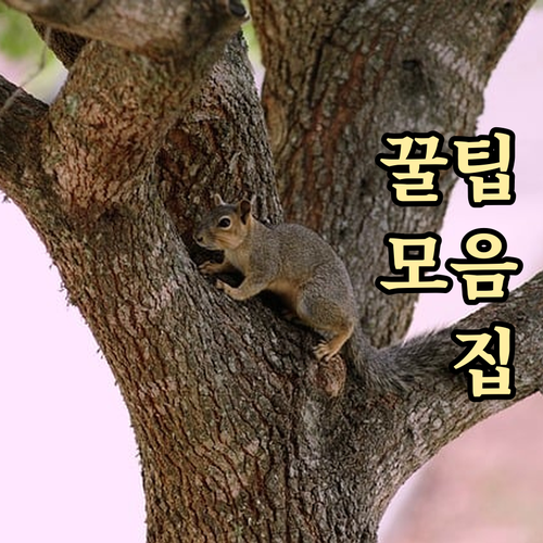 용문동 쓰레기 정복 일반 음식물 재활..