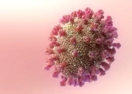 대상포진-바이러스