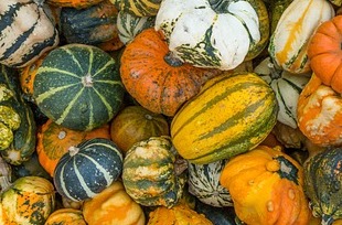 단호박효능