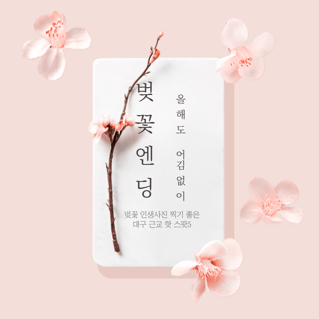 대구 여행 사진 스폿 설명