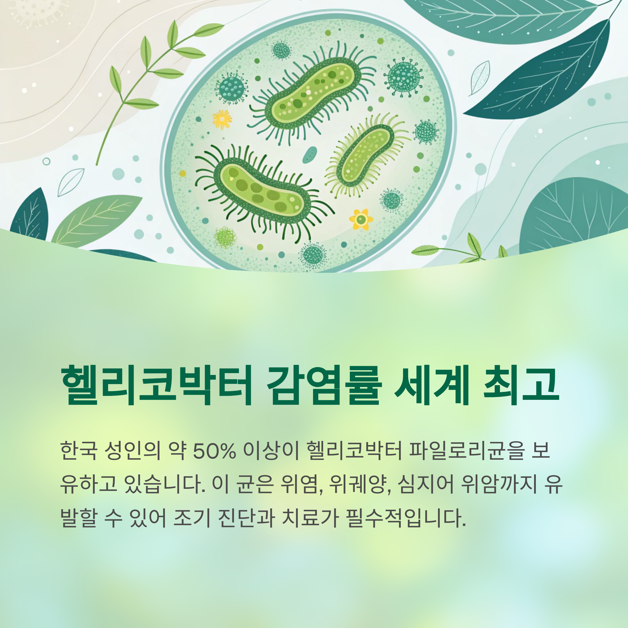 한국인 위장병 1위 국가가 된 숨겨진 원인 충격 공개 - 위염·역류·소화불량까지, 왜 한국인은 위장에 약할까? - 헬리코박터 감염률도 세계 최고 수준 한국인 위장병 1위 국가가 된 숨겨진 원인 충격 공개 - 위염·역류·소화불량까지, 왜 한국인은 위장에 약할까? - 헬리코박터 감염률도 세계 최고 수준